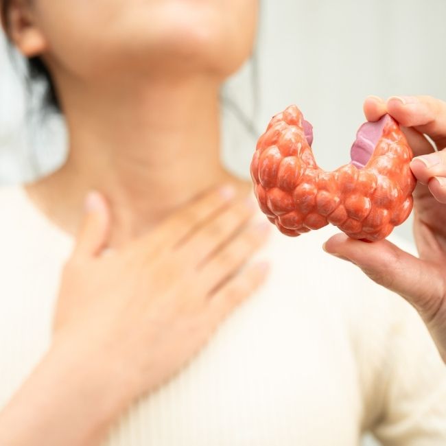 Especialidades endocrinología