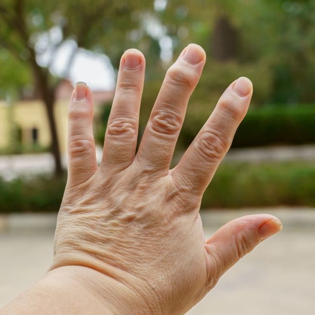 Especialidades geriatría